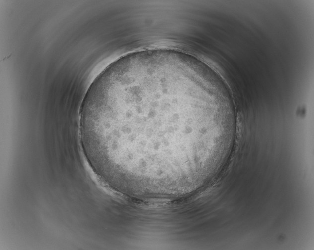 X0000114571047200911161242