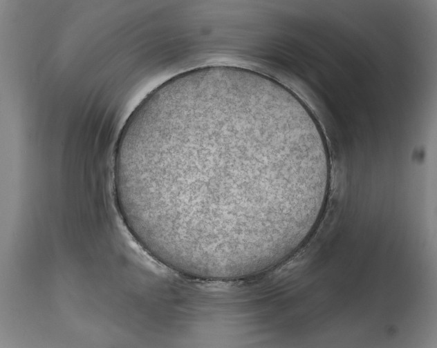 X0000114571048200911161242