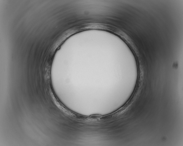 X0000114571049200911161242