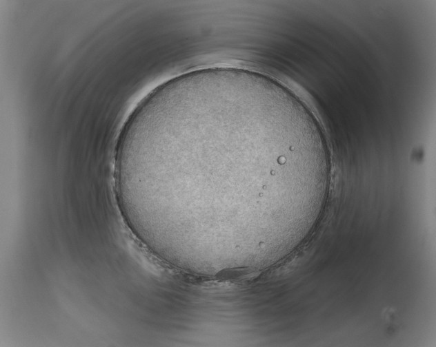 X0000114571051200911161242