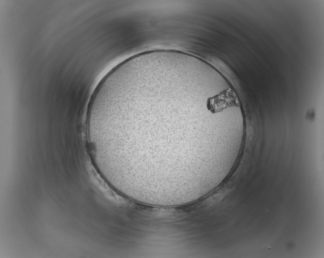 X0000114571052200911161242