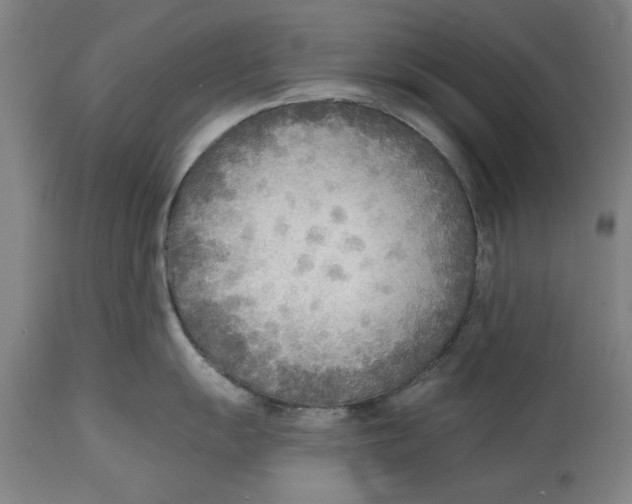 X0000114571055200911161242