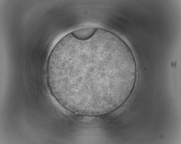 X0000114571056200911161242