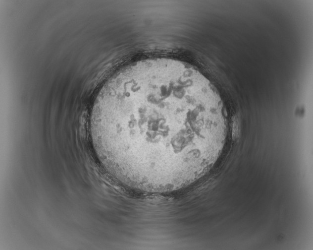 X0000114571059200911161241