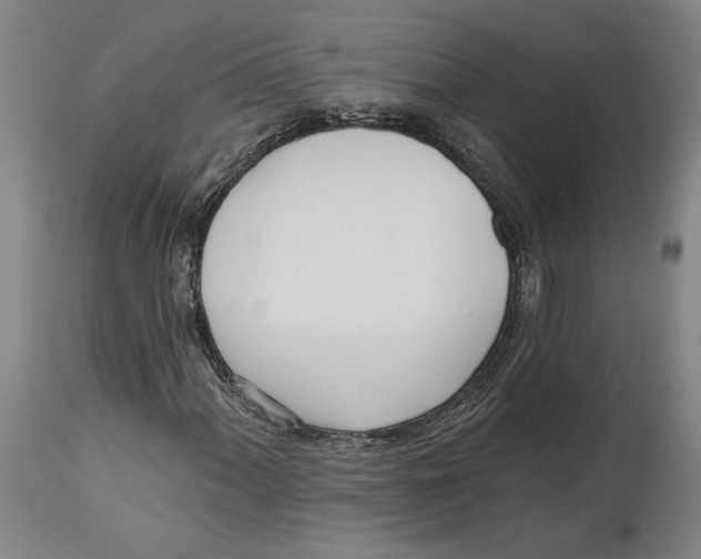 X0000114571060200911161241