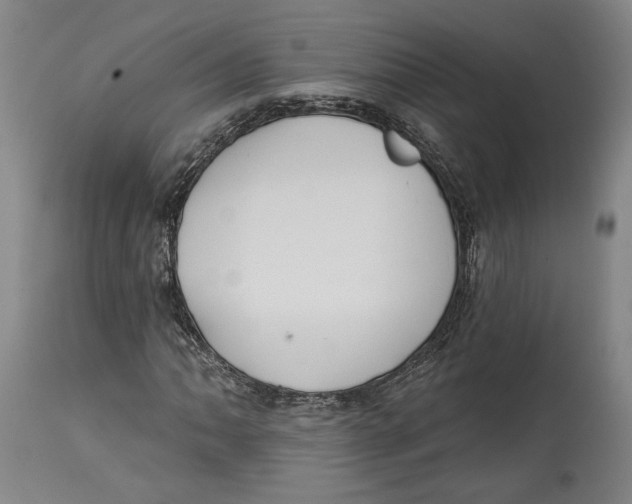 X0000114571062200911161241