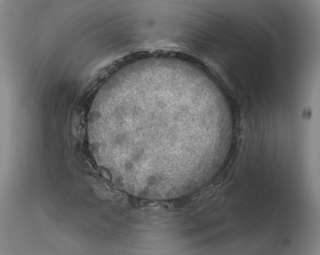 X0000114571063200911161241