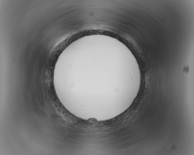 X0000114571064200911161241