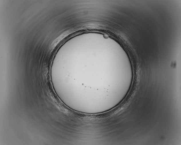 X0000114571065200911161241