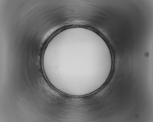 X0000114571066200911161241