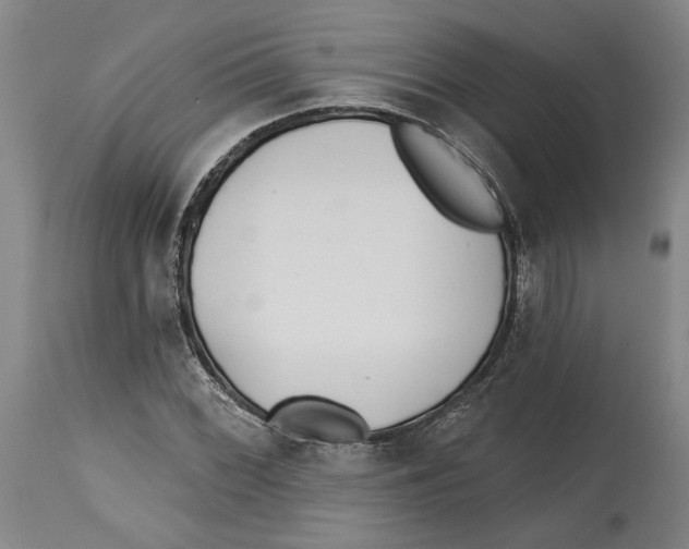 X0000114571068200911161241