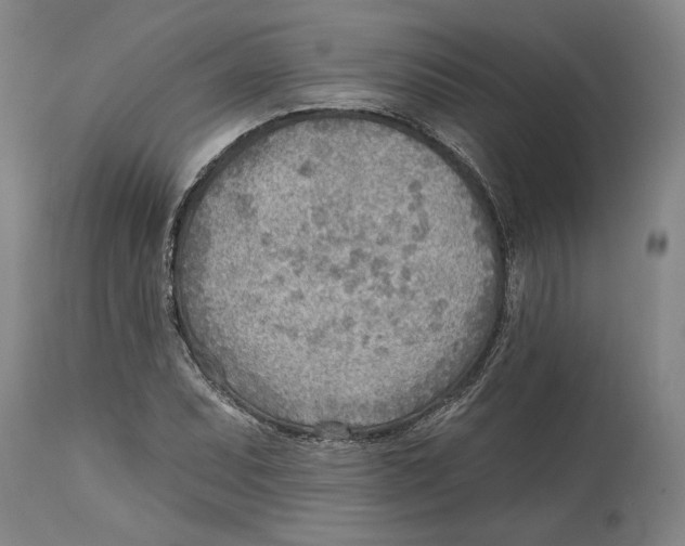 X0000114571071200911161241