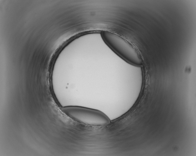 X0000114571072200911161241