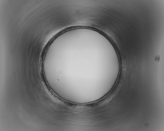 X0000114571077200911161241