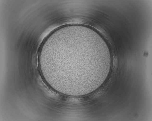 X0000114571078200911161241