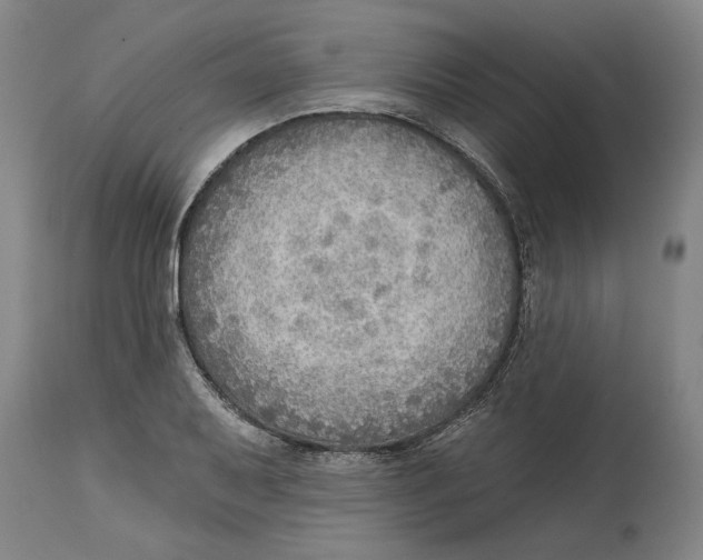 X0000114571079200911161241