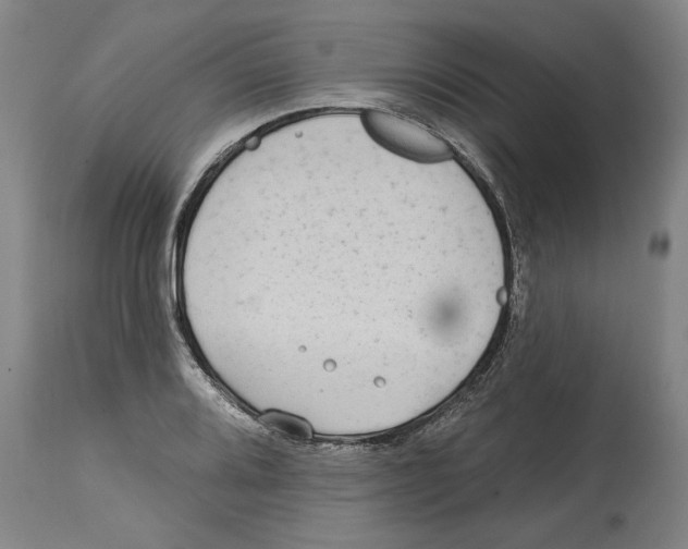 X0000114571080200911161241