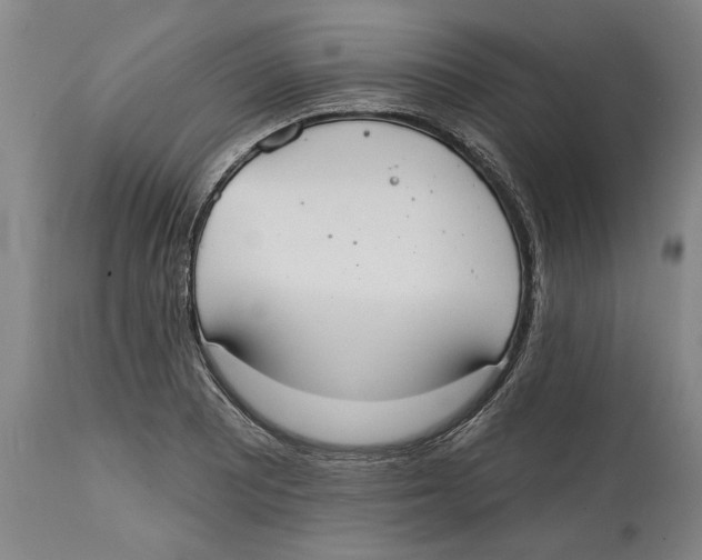 X0000114571081200911161241