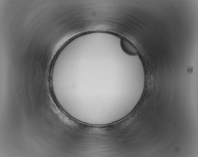 X0000114571086200911161241