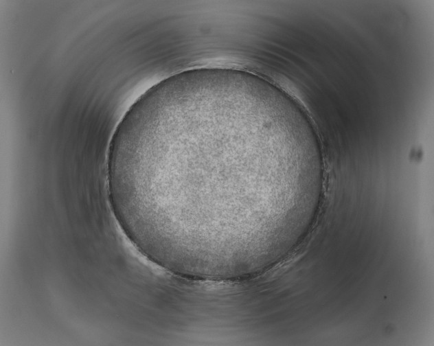 X0000114571087200911161241