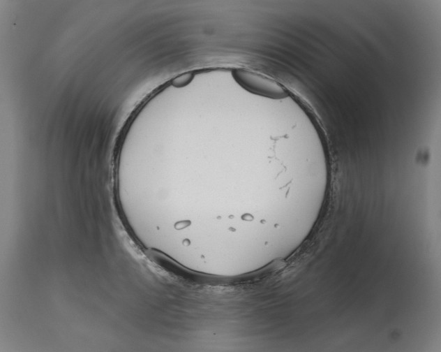 X0000114571088200911161241