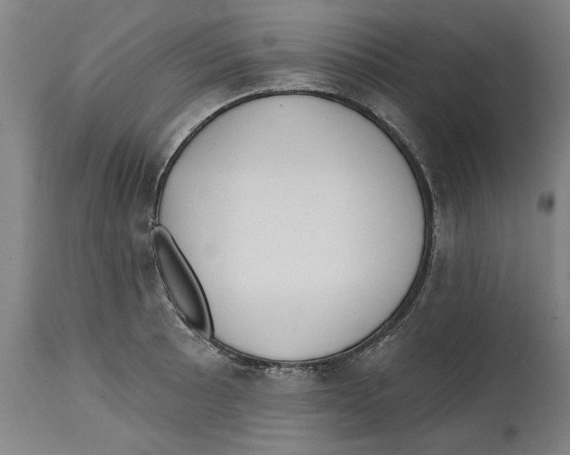 X0000114571089200911161241