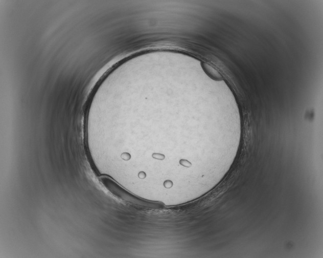 X0000114571092200911161241