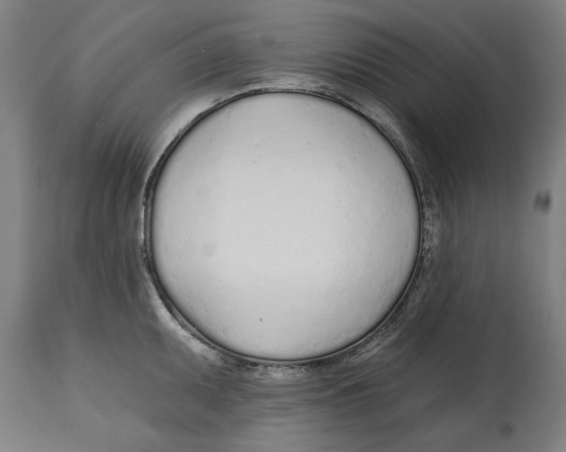 X0000114571095200911161241