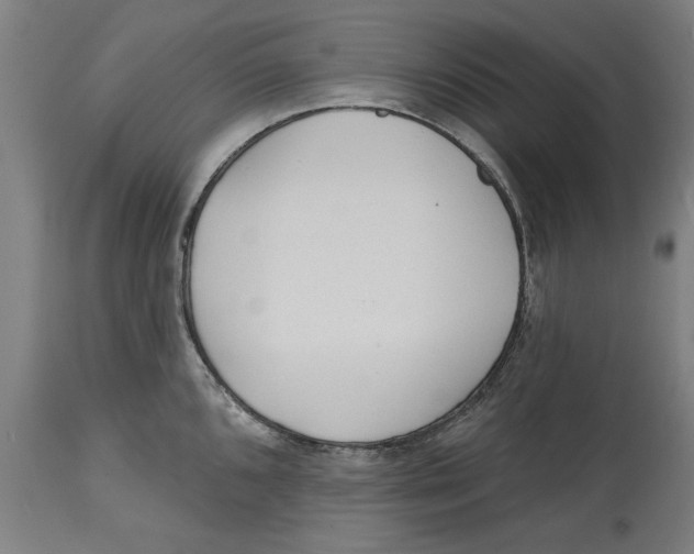 X0000114571096200911161241