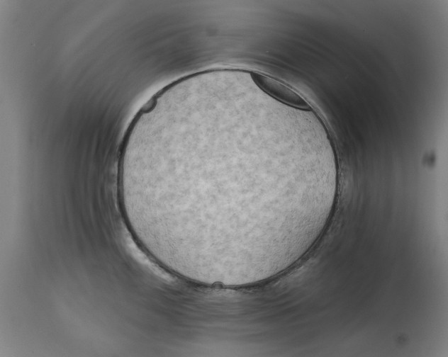 X0000114571100200911161241