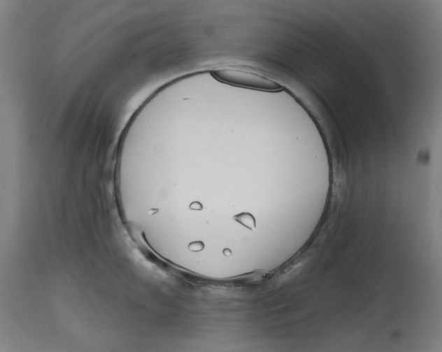 X0000114571102200911161241