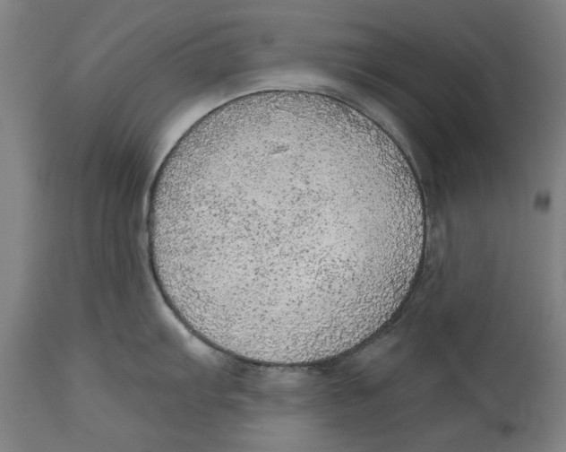 X0000114571103200911161241