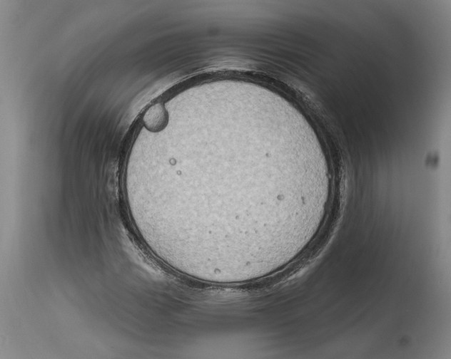 X0000114571113200911161240