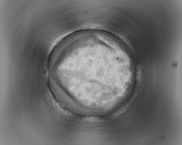 X0000114571117200911161240