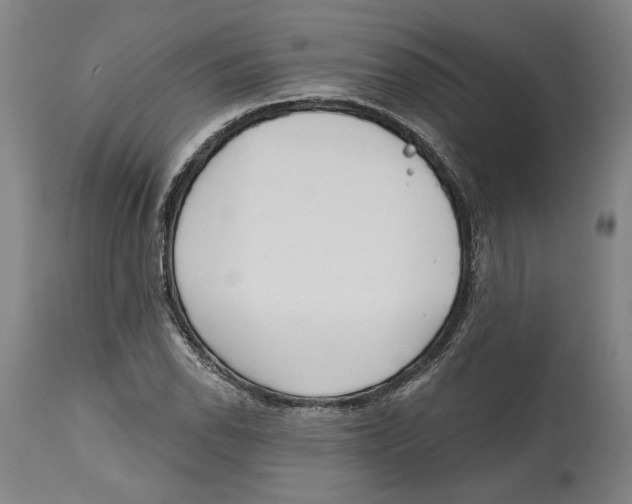 X0000114571118200911161240