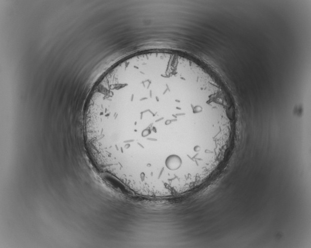 X0000114571129200911161240