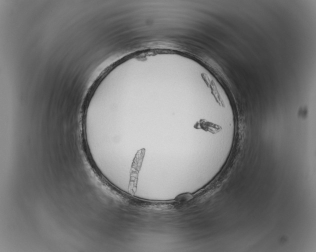 X0000114571133200911161240