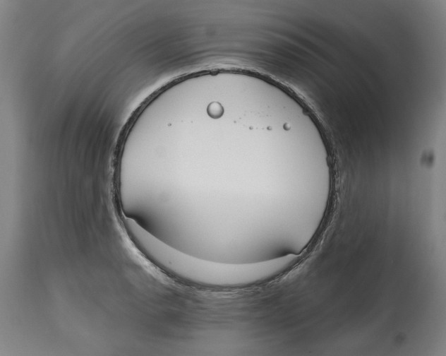 X0000114571134200911161241