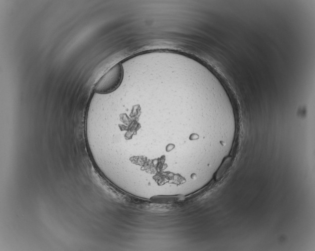 X0000114571137200911161241