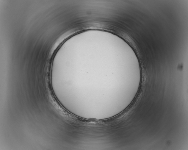 X0000114571138200911161241