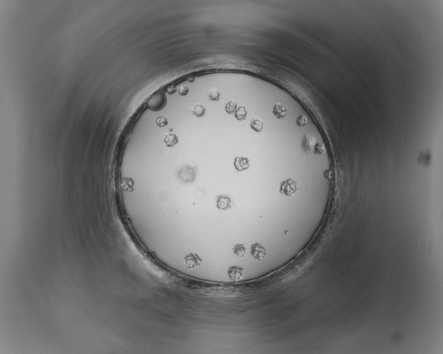 X0000114571141200911161241