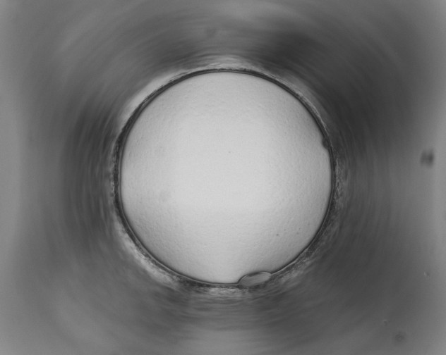 X0000114571142200911161241