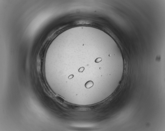 X0000114571151200911161241