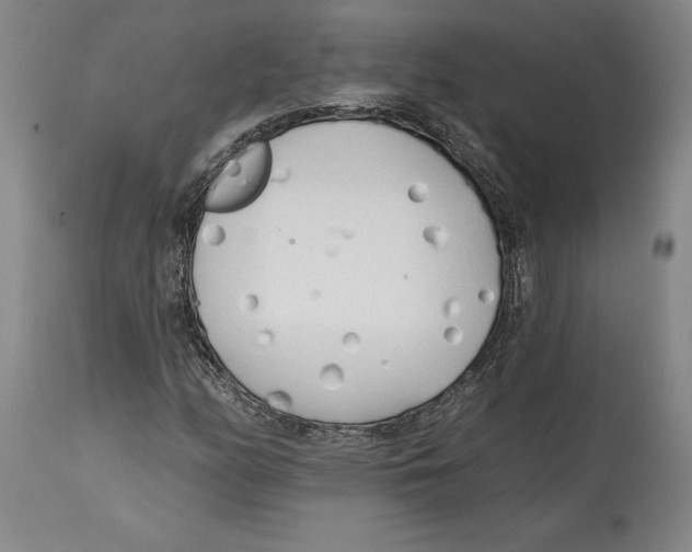 X0000114571158200911161240