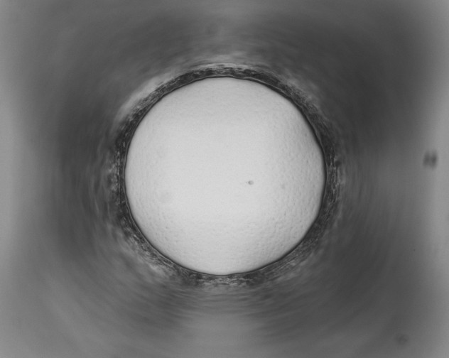 X0000114571159200911161240