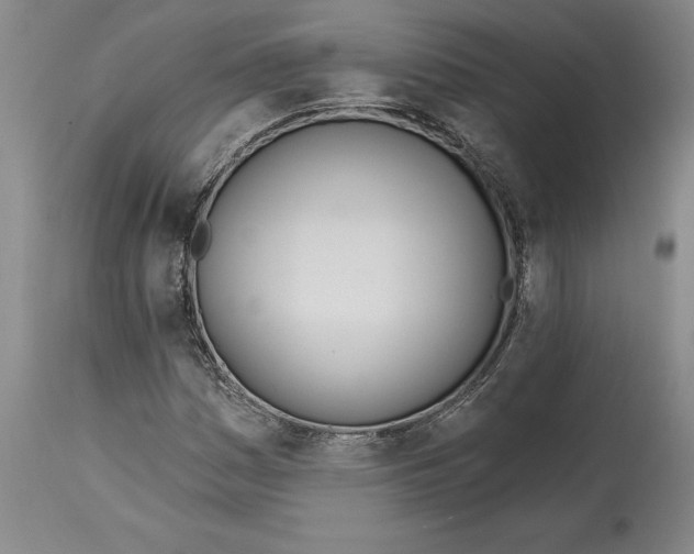 X0000114571161200911161240