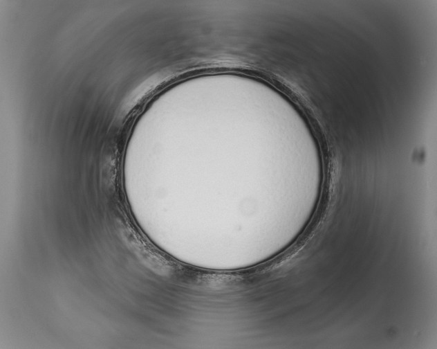 X0000114571163200911161240