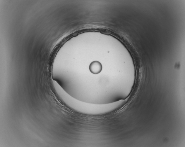 X0000114571165200911161240