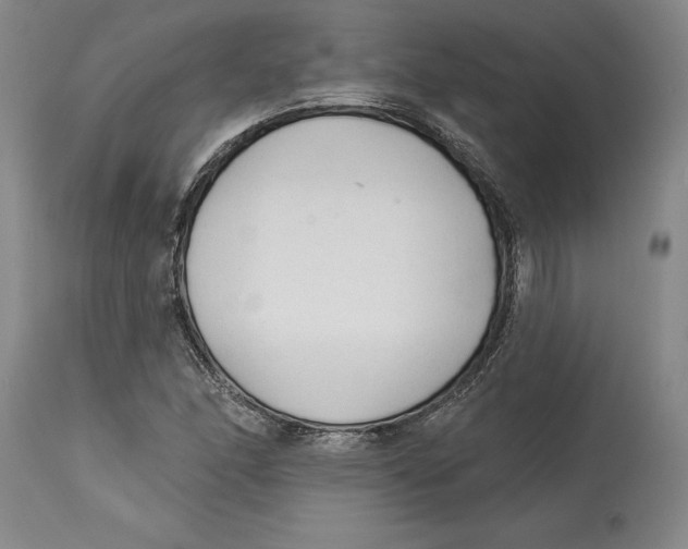 X0000114571166200911161240