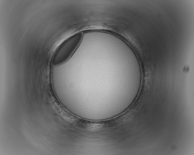 X0000114571173200911161240